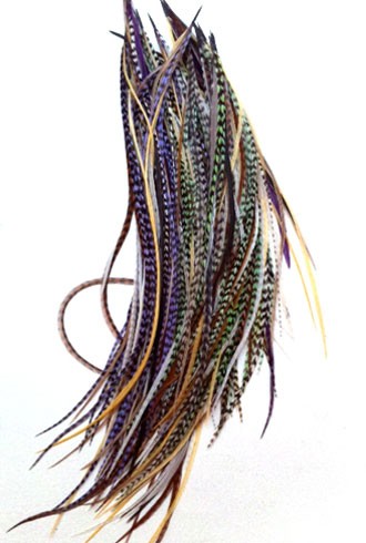 feather hair extensions colors. Feather hair extensions became