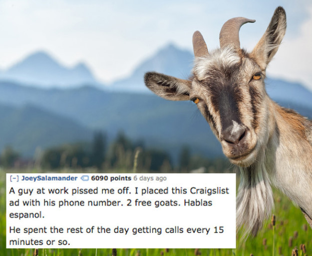 21 Petty Revenge Stories That Will Give You Some Great Ideas