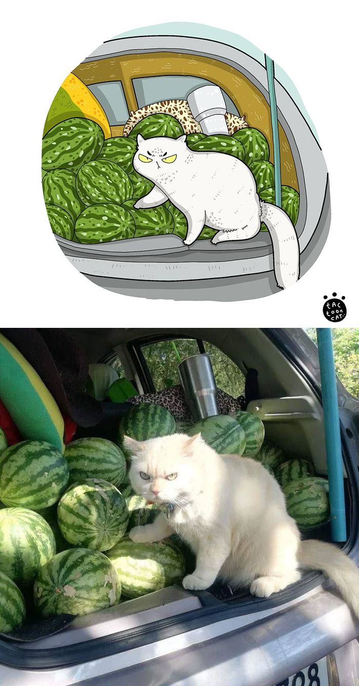 Artist Is Bringing Forgotten Memes Of Cats In The Form Of Cartoons And This Is So Purrfect