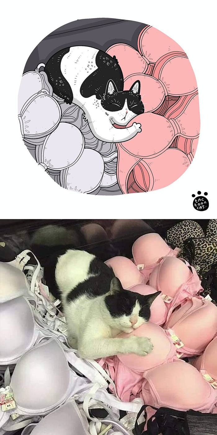 Artist Is Bringing Forgotten Memes Of Cats In The Form Of Cartoons And This Is So Purrfect