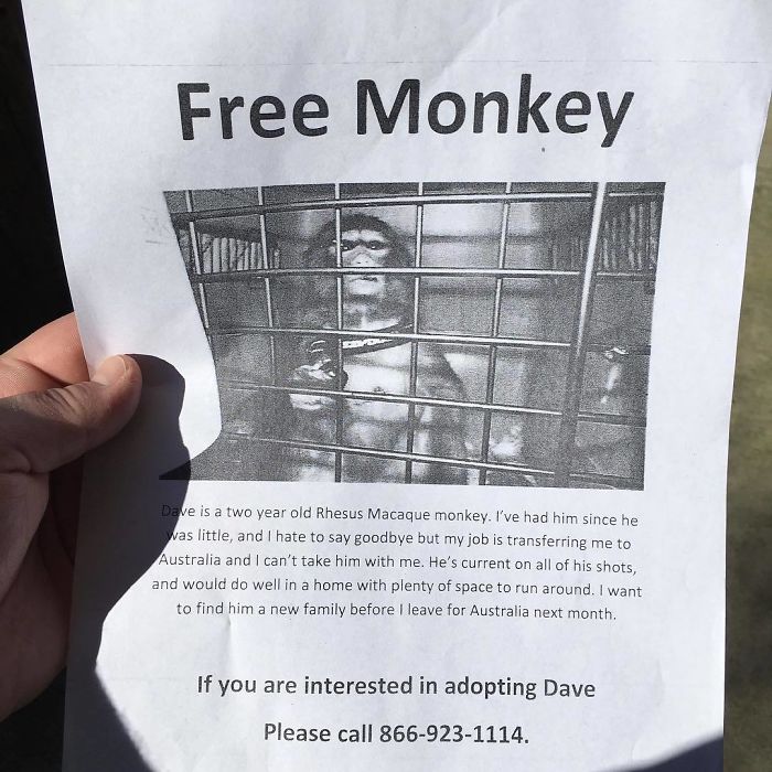 Every Time I Get A Spam Fax At Work I Put The Spammer's Number On A Free Monkey Flyer And Post It Somewhere Around Town