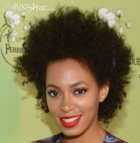 Afro Textured Hair (gallery: names of hairstyles)