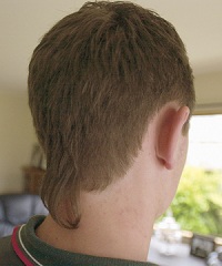 Rat Tail Hairstyles (gallery: names of hairstyles)